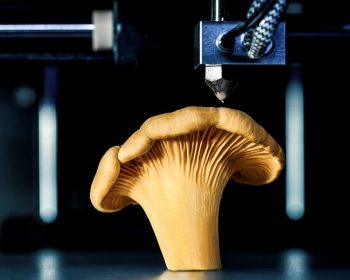 food 3d printing food 3d printing